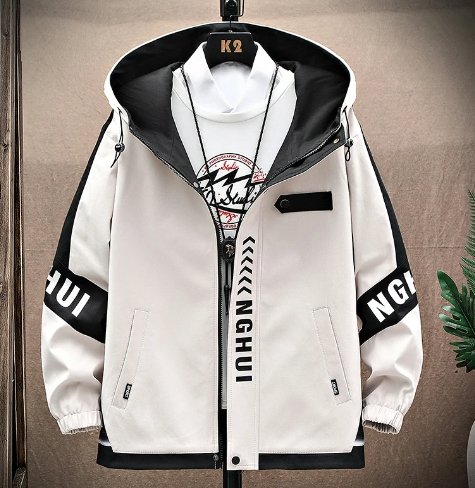 Streetwear Youth Spring Jacket Harajuku Windbreaker - TechWearGiants